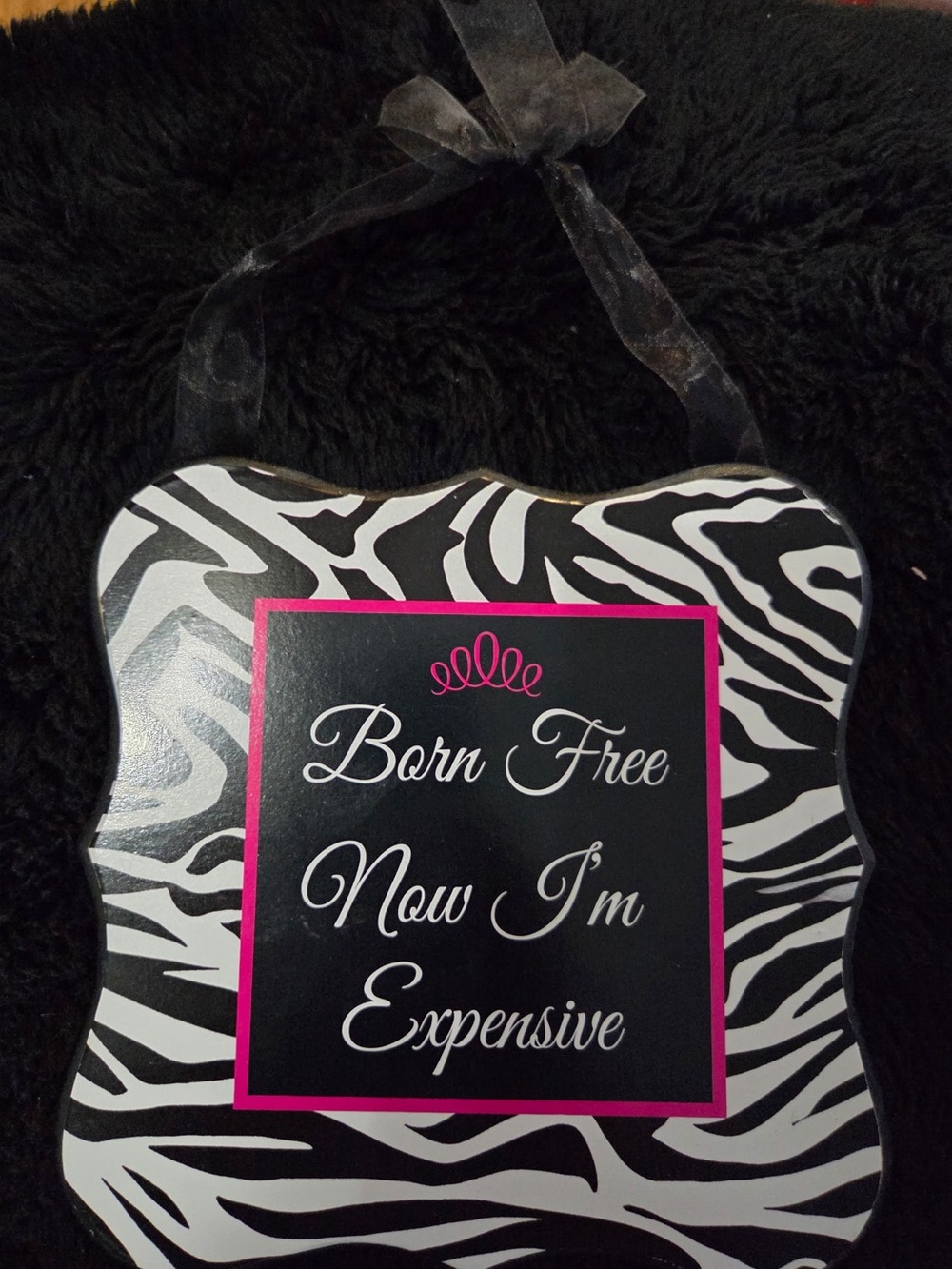Born Free Now I'm Expensive Zebra Plaque - Black, White & Pink 7” by 7”